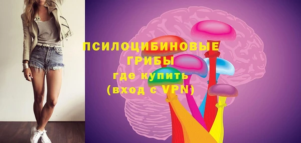 сатива Ладушкин
